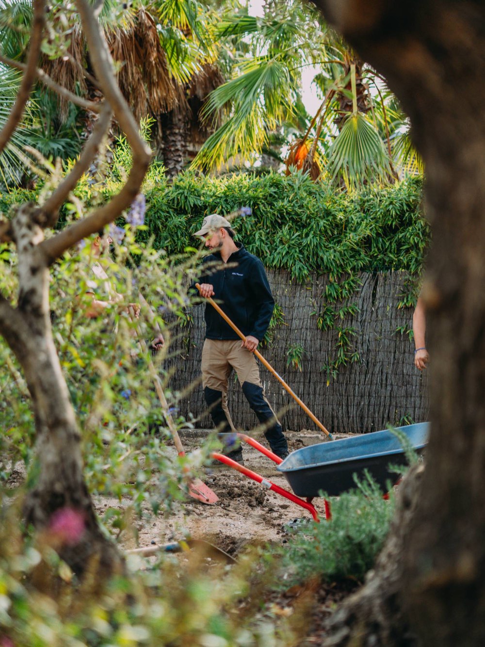 Équipe de BML Paysages au râteau sur le chantier de la villa de Ramatuelle, photographiée à travers la végétation du jardin
