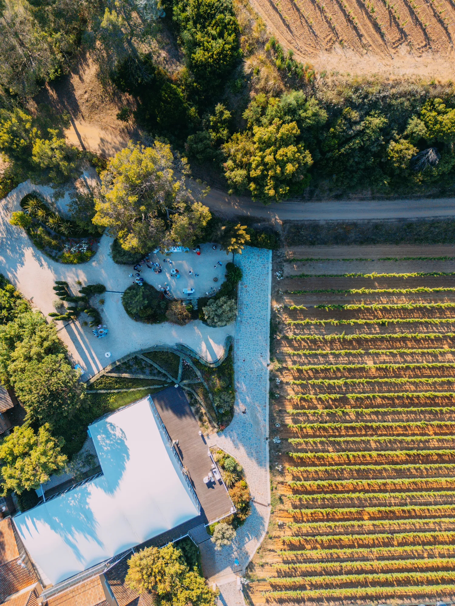 Vue drone d'un mariage dans un domaine viticole du Var